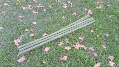100 Cañas De Bambú Verdes De 2 Metros De Largo Y 3 A 4cm C/u Verde Musgo - 8