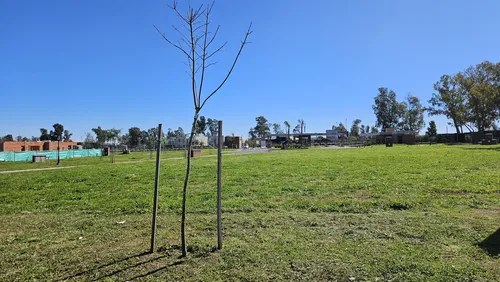 Venta De Lote 526m2 En Santa Sofia Pilar Del Este - 4