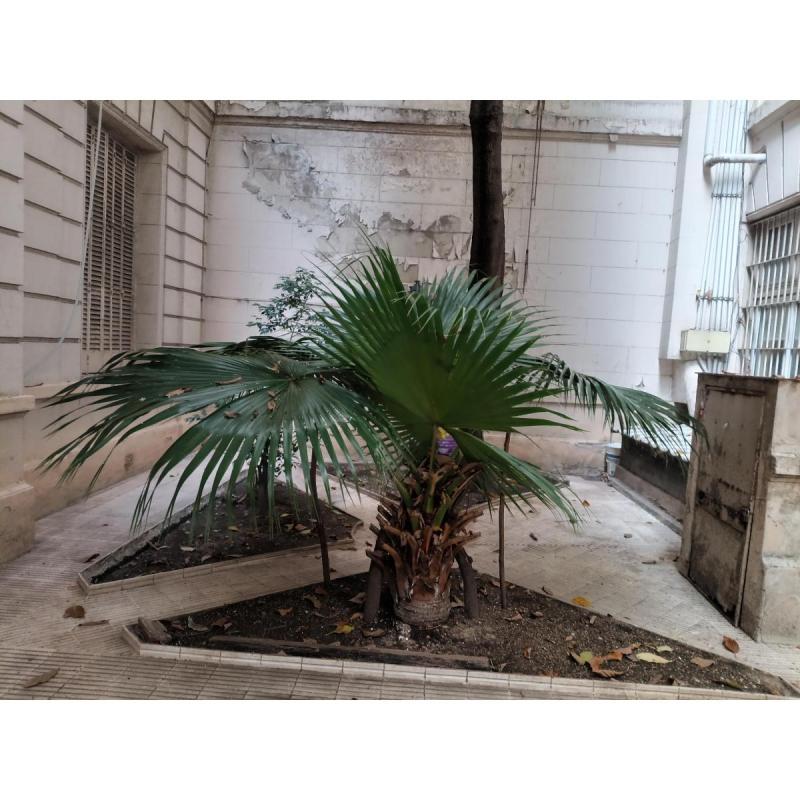 ALQUILER DE DEPARTAMENTO EN SAN NICOLAS - 2