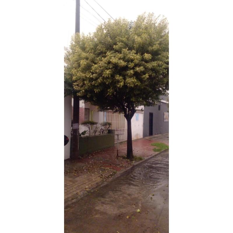 Casa en venta en Altamira
