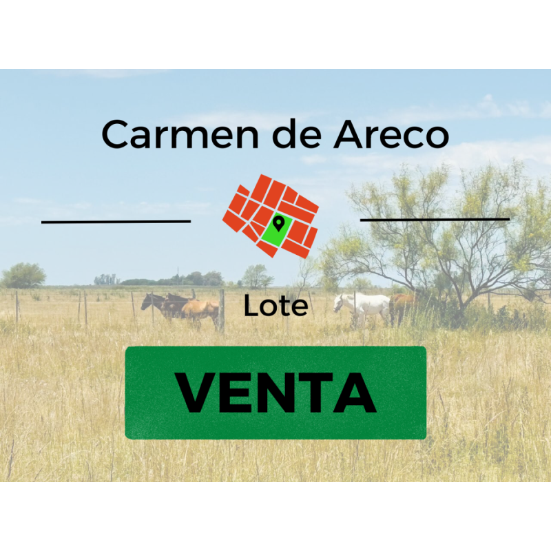 Terreno En Venta - 601 M2 - Carmen De Areco