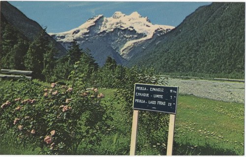 Antigua Tarjeta Postal Lake Region De Panagra (1960)