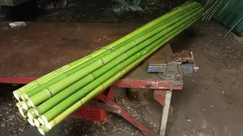 1 Metro Lineal De Caña De Bambú 3cm A 4cm Verde - 3