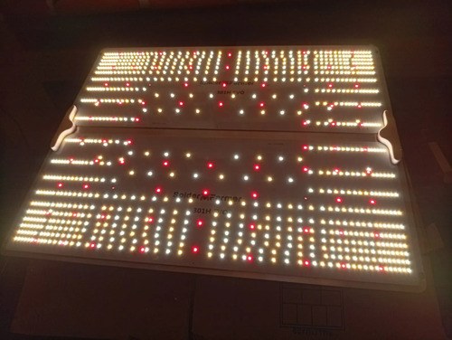 Lámpara Para Cultivo Interior Spider Farmer Sf-4000 Luz Blanca Natural Calida Y Brillante