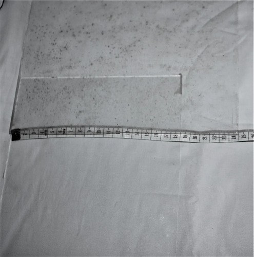 Vidrio Genérico 1 Mm Espesor 2 Vidrios 24 Cm X 18 Cm - 6