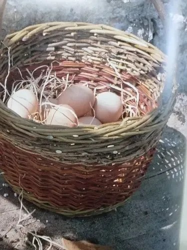 Basket Making: Manual De Artesanía Contemporánea En Inglés - 3