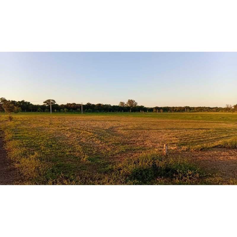 Terreno o lote en venta en El Timbó - Robles, Santiago Del Estero