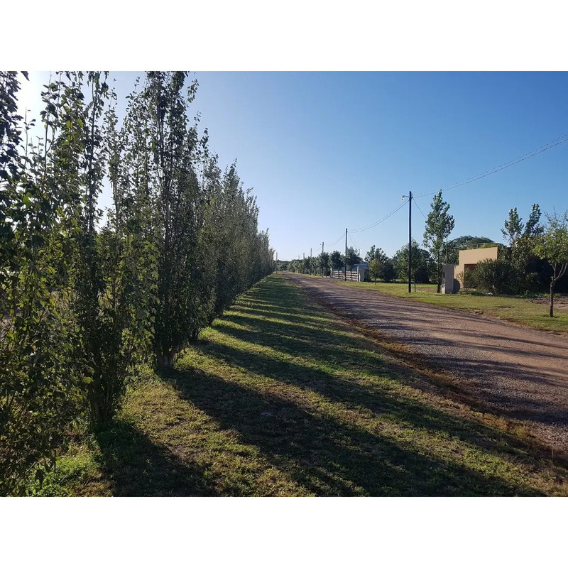 Terreno o lote en venta en El Timbó - Robles, Santiago Del Estero - 17