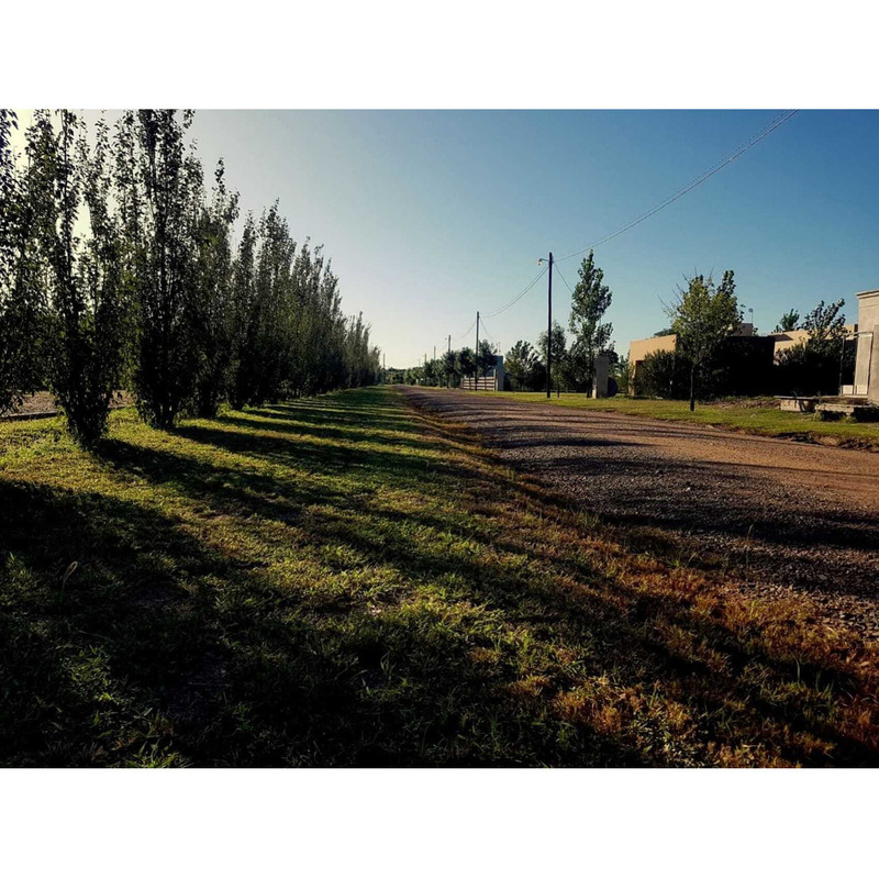 Terreno o lote en venta en El Timbó - Robles, Santiago Del Estero - 18