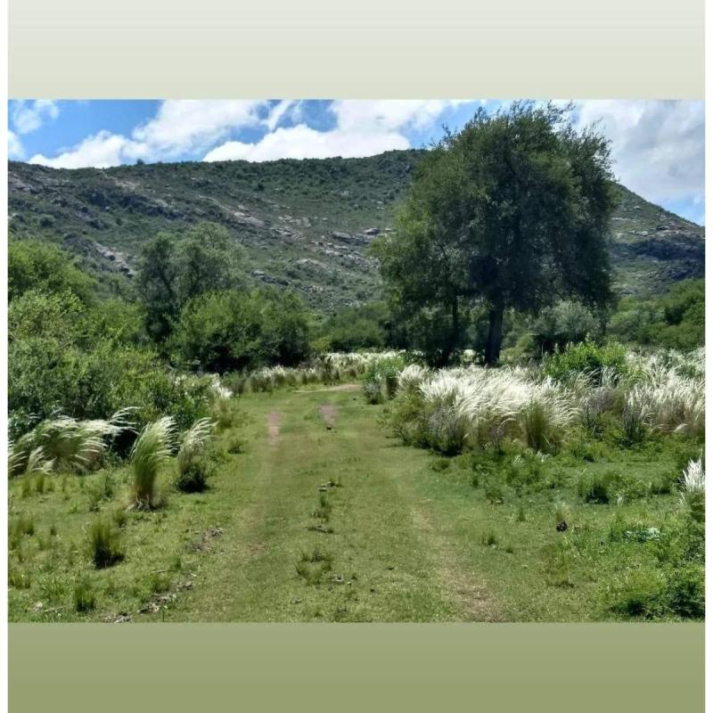 Lote 1500m2 agua+kit solar Panaholma Córdoba - 6