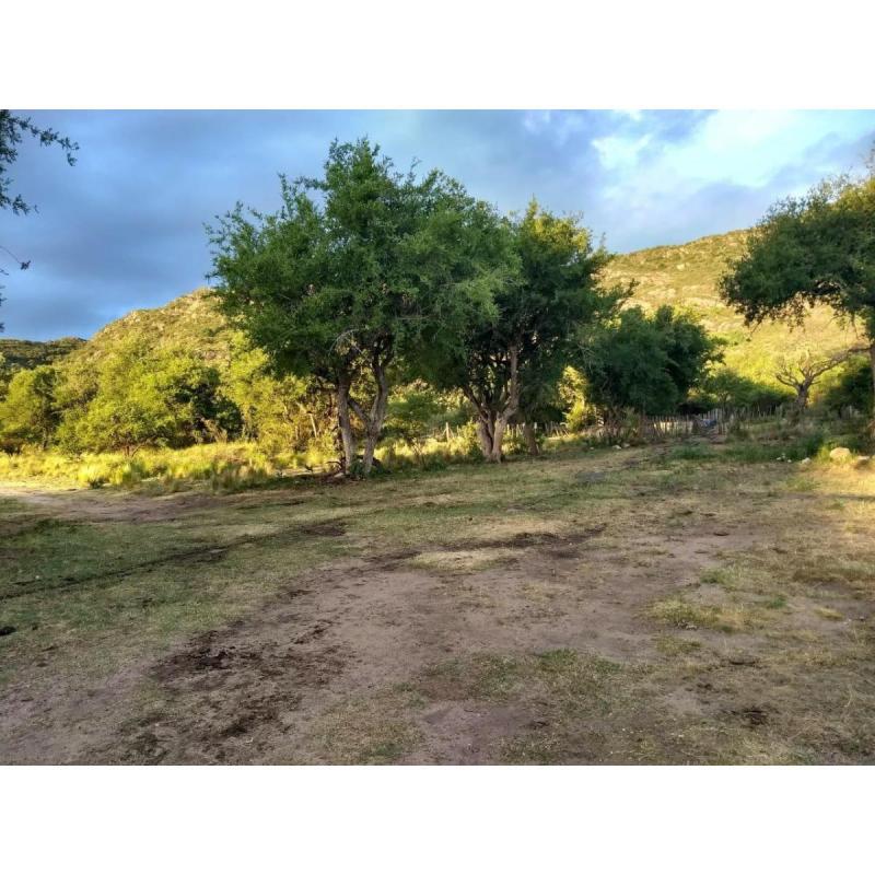 Lote 1500m2 agua+kit solar Panaholma Córdoba - 7