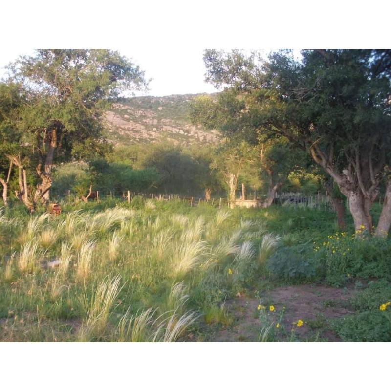 Lote 1500m2 agua+kit solar Panaholma Córdoba - 8