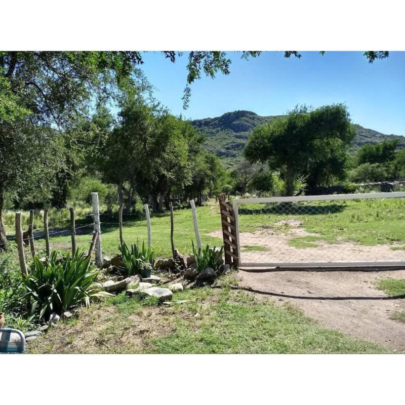 Lote 1500m2 agua+kit solar Panaholma Córdoba - 14
