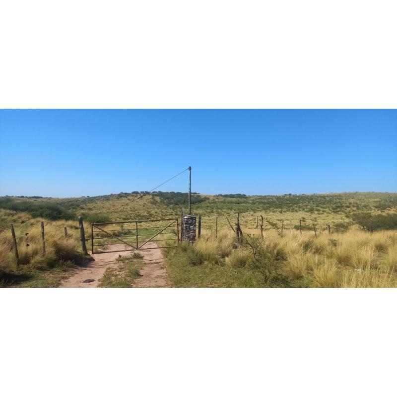 Campo Ganadero En Catamarca Ancasti El Taco 