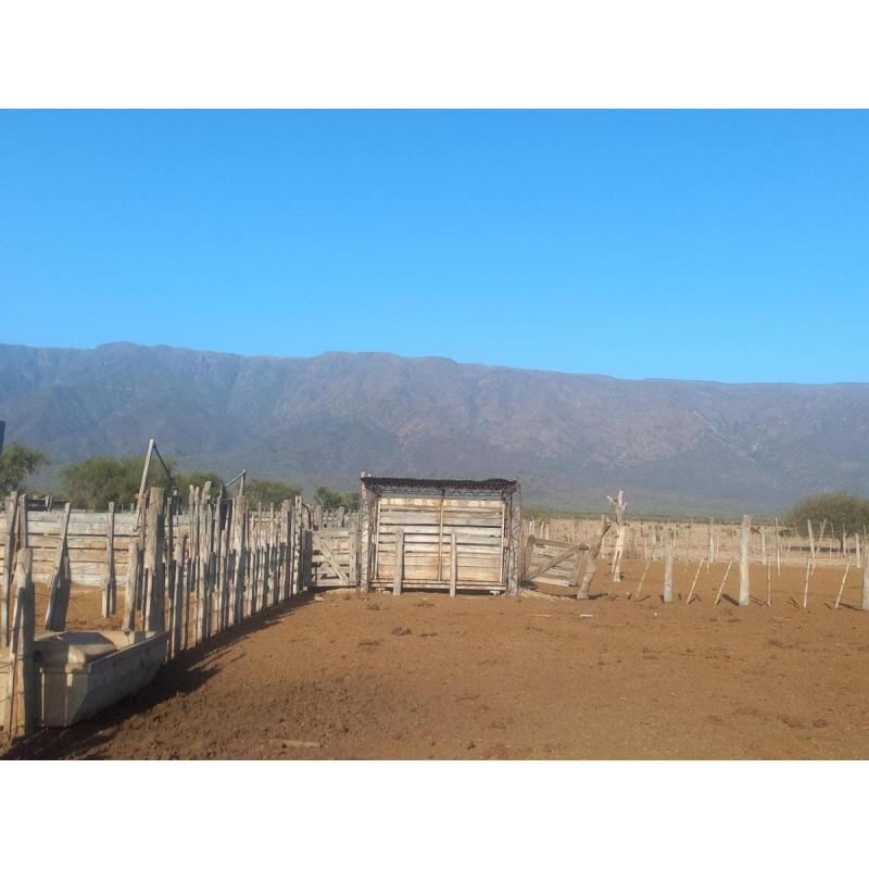 Campo Agricola Ganadero Catamarca - 2