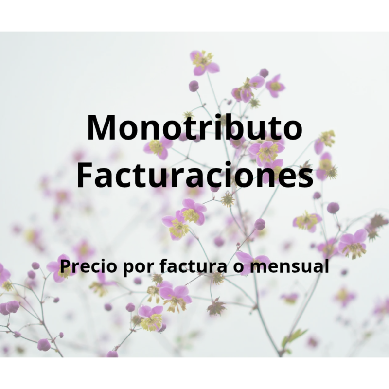 Realizacion de facturas