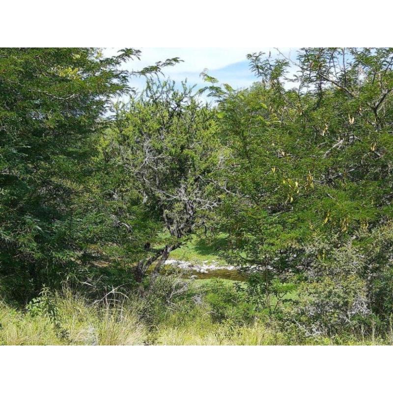 Hermoso Terreno Llano, Frente Al Río Y Balneario, Acceso A Servicios, Punilla Sierras De Córdoba. La