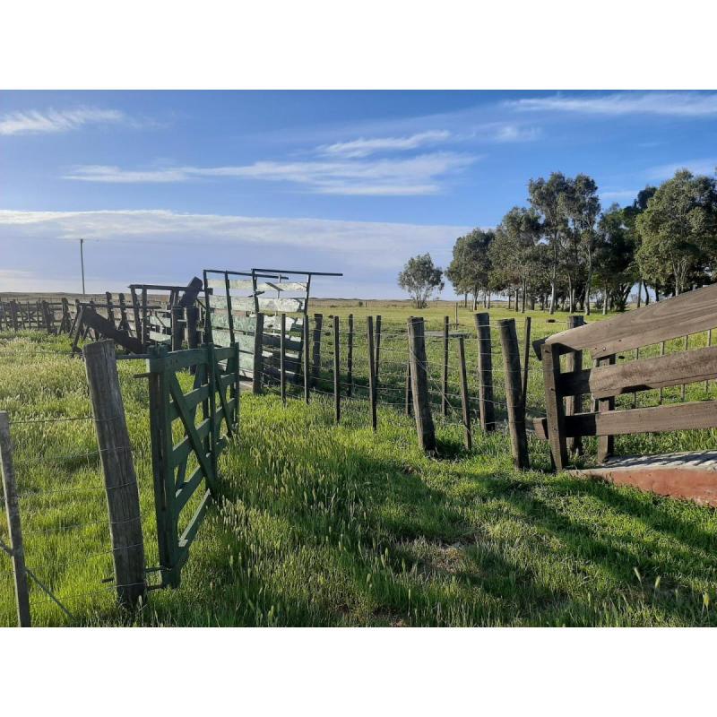 Espectacular Estancia en Bahía San Blas - 10