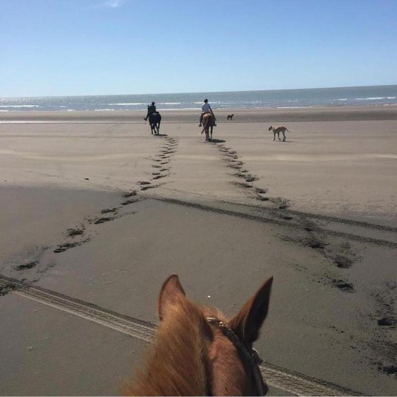 Espectacular Estancia en Bahía San Blas - 11
