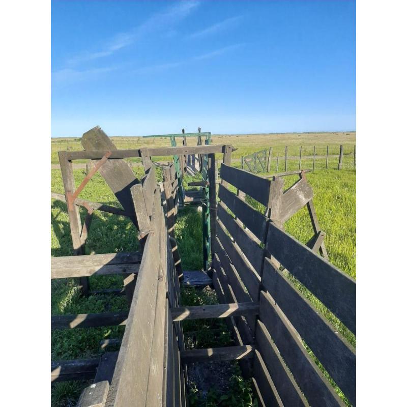 Espectacular Estancia en Bahía San Blas - 17