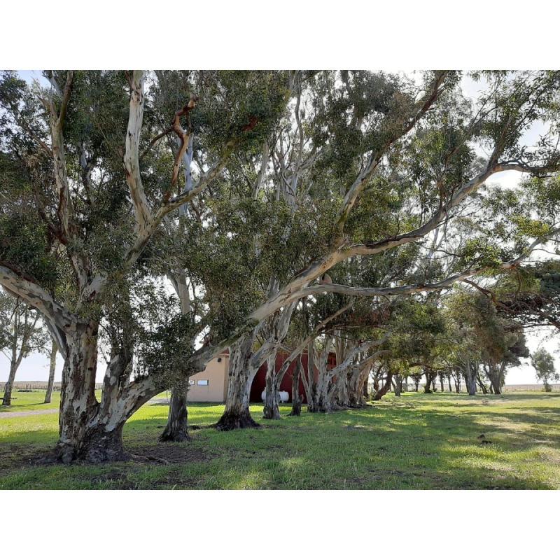 Espectacular Estancia en Bahía San Blas - 18