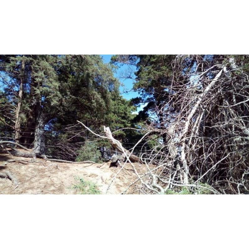 Particular : Vendo Hermoso Lote Unifamiliar - En Los Bosques De Mar Azul