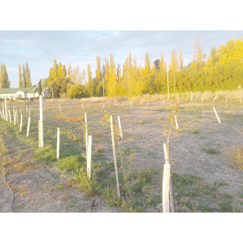 Particular. Trelew. Terreno en la mejor zona residencial. - 8