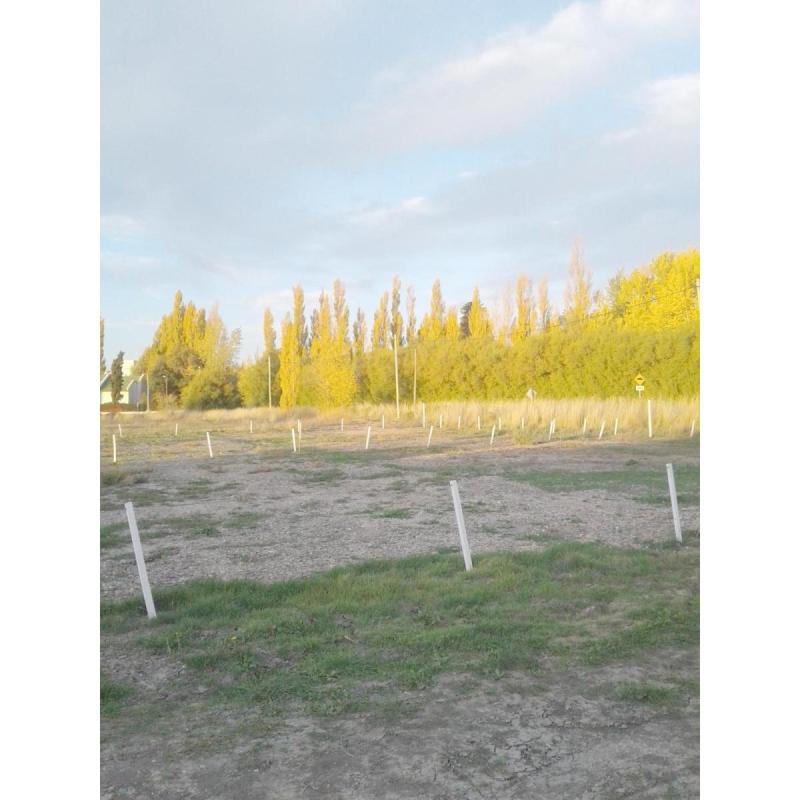 Particular. Trelew. Terreno en la mejor zona residencial. - 10