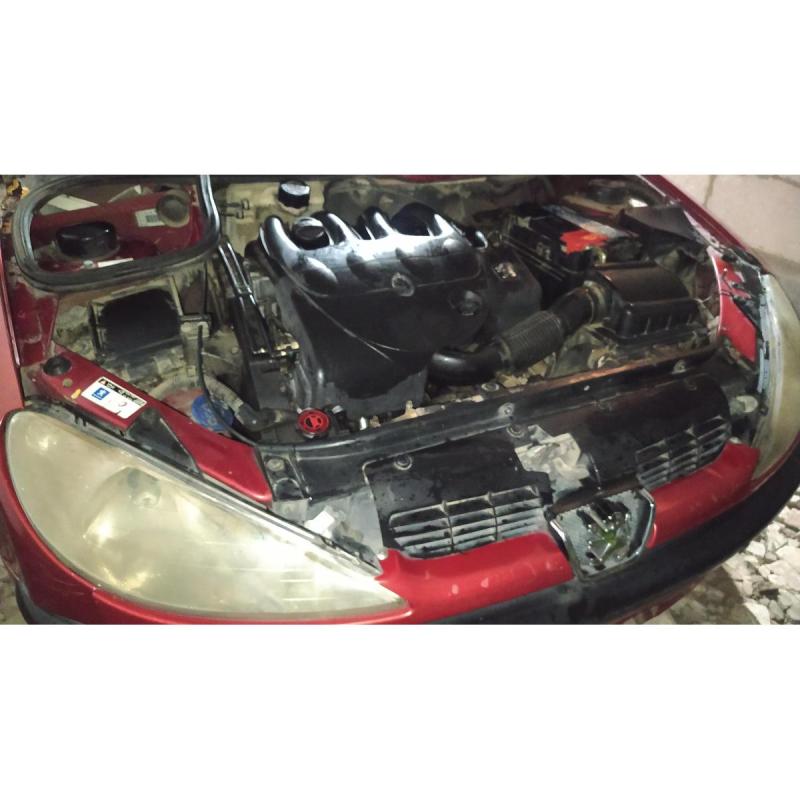 Peugeot 206 1.9 Xrd Premium 5 p - 8