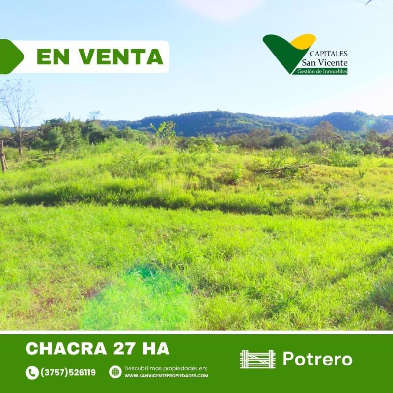 Chacra 27 ha San Vicente Misiones - 3