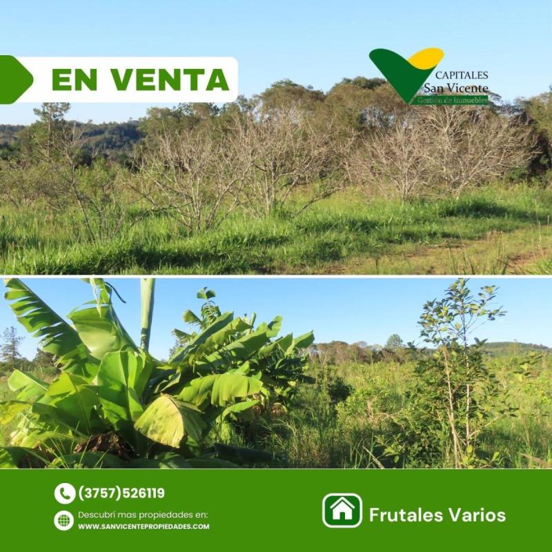 Chacra 27 ha San Vicente Misiones - 5