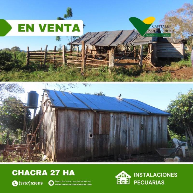 Chacra 27 ha San Vicente Misiones - 6