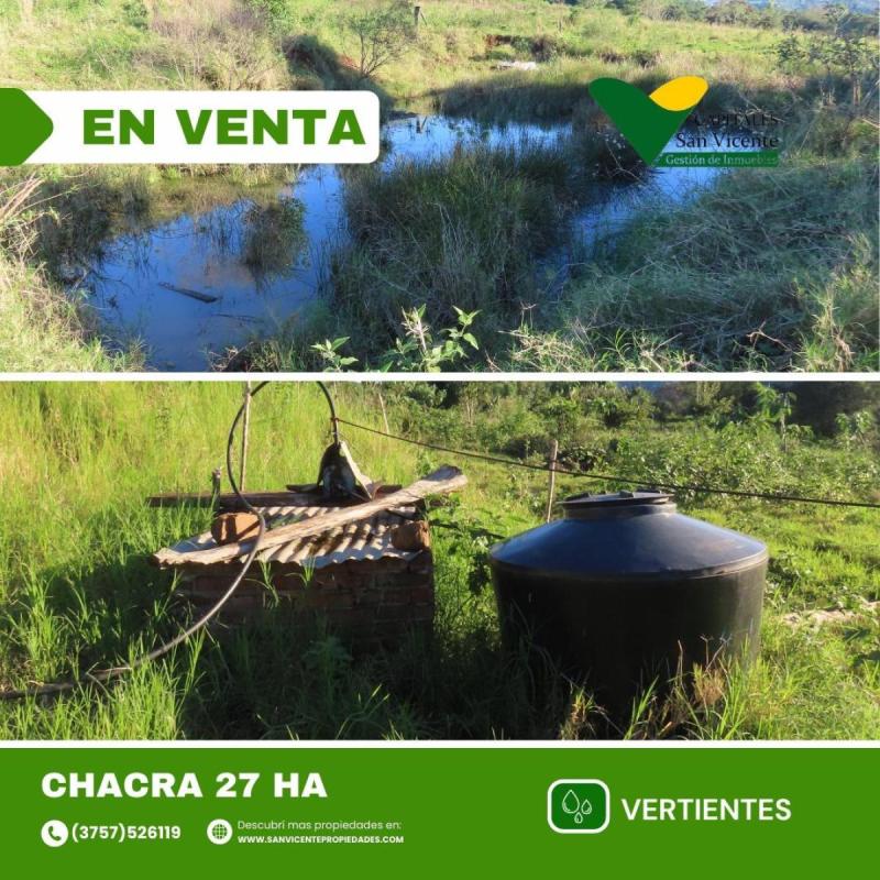 Chacra 27 ha San Vicente Misiones - 7