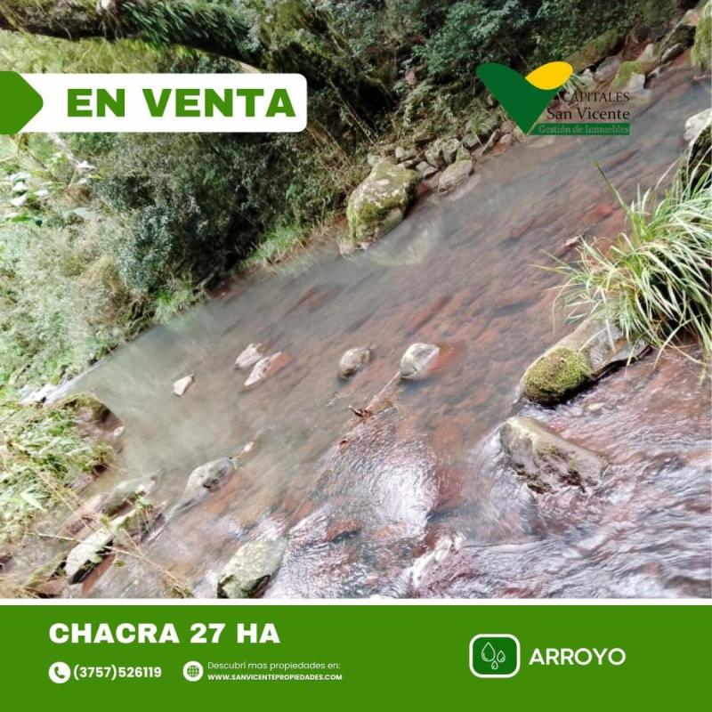 Chacra 27 ha San Vicente Misiones - 8