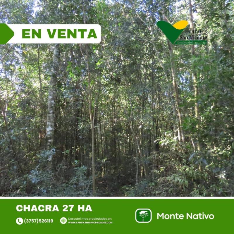 Chacra 27 ha San Vicente Misiones - 9