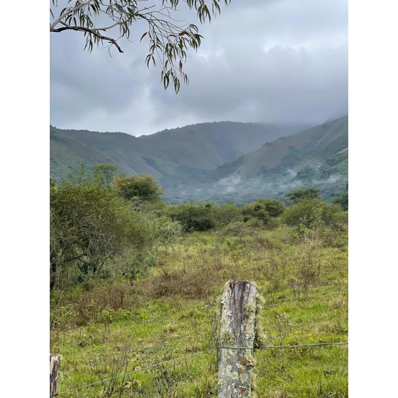 Finca -campo En Venta – La Calderilla, Salta - Apto Uso Turistico - Ruta 9 - 2