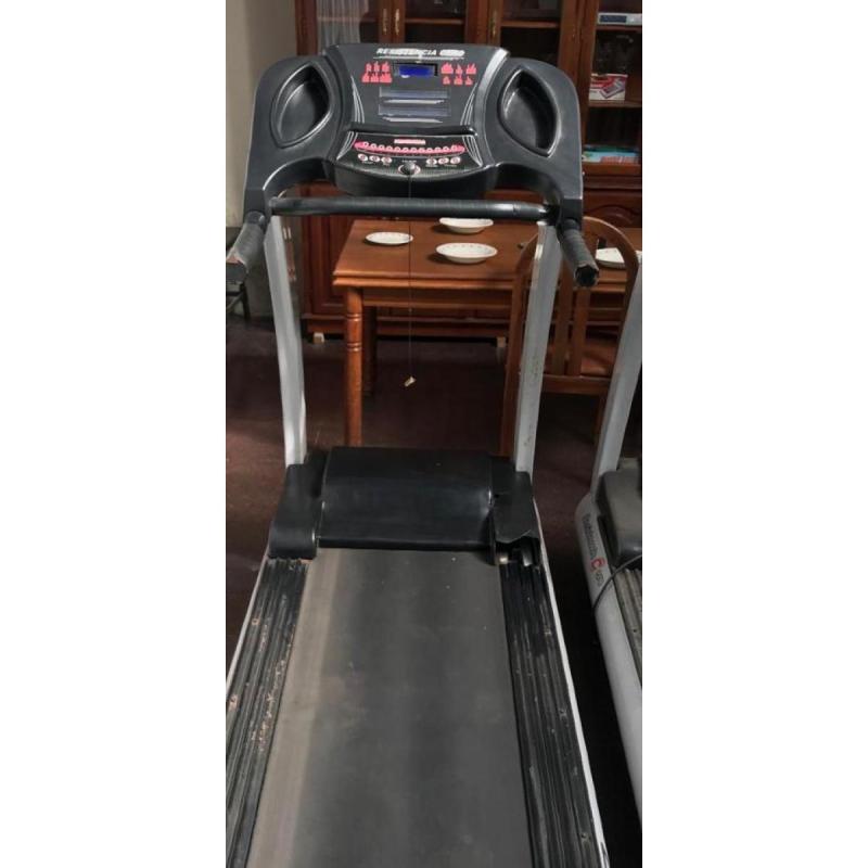 Cinta Profesional Para Gym - 3