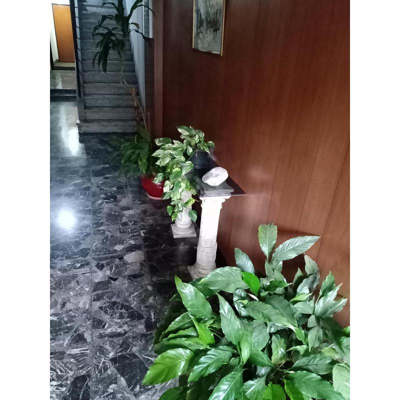 Excelente semipiso en el centro comercial de Lanús Este. - 7
