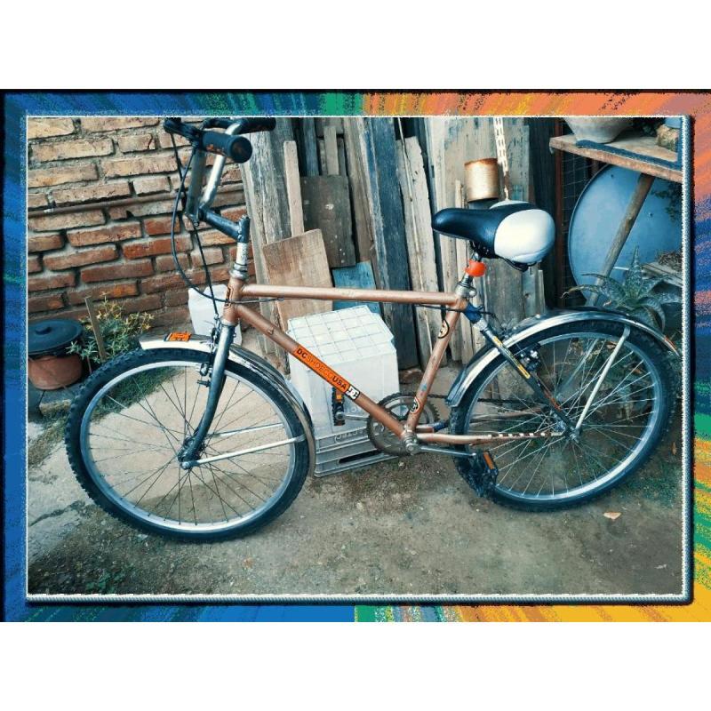 Bicicleta Rodado 26