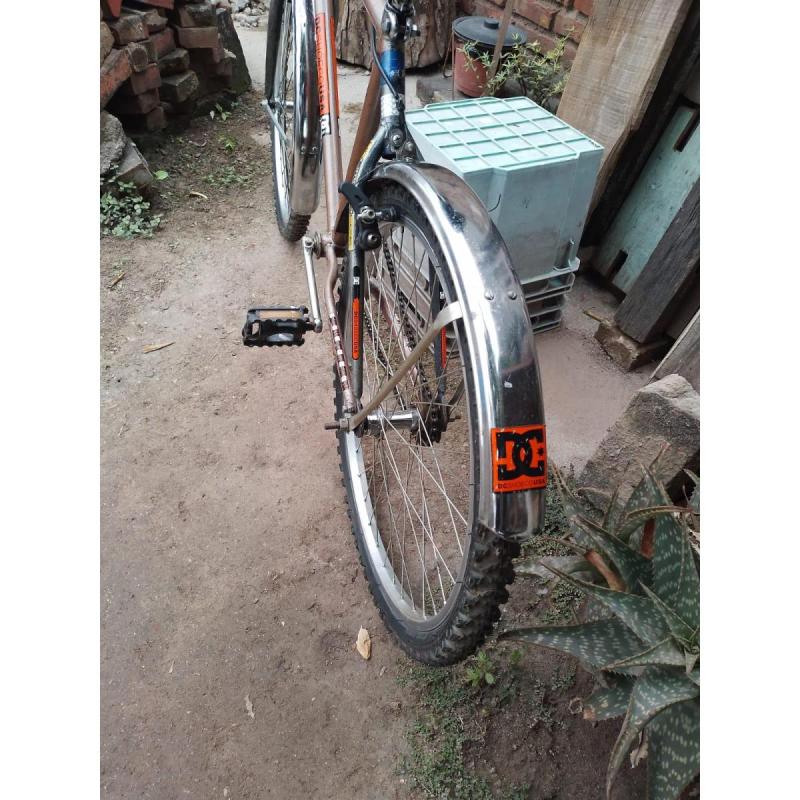 Bicicleta Rodado 26 - 5
