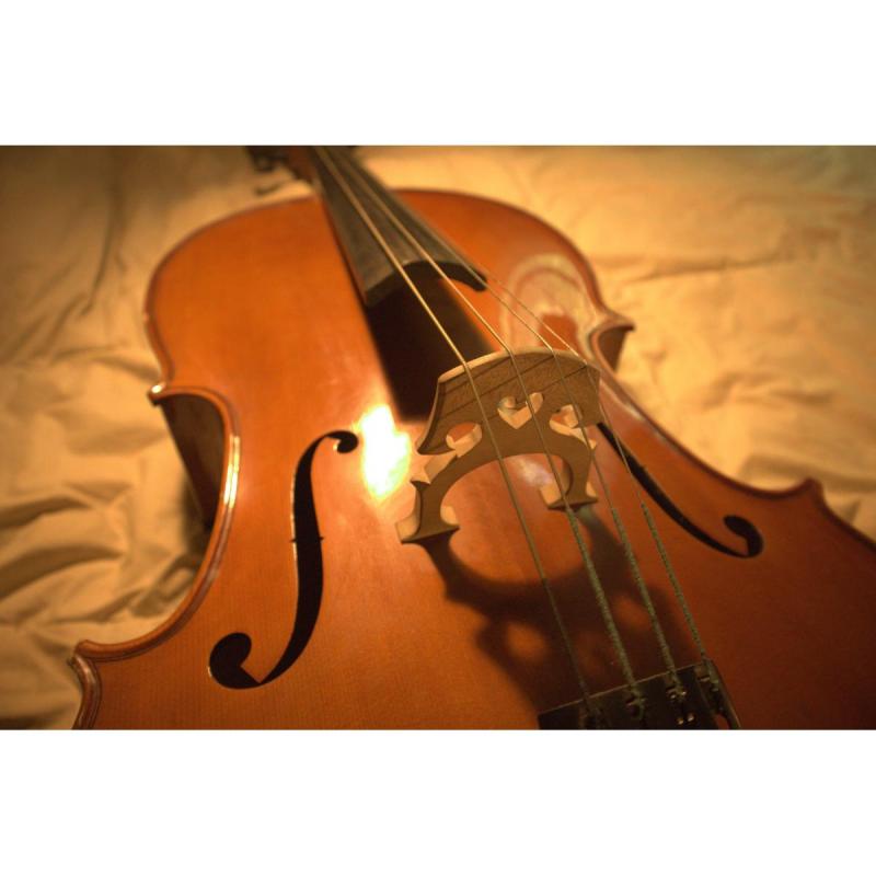 Violonchello Cremona Sc-175 4/4 con Estuche y Arco