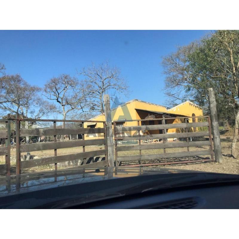 Venta Finca Productiva Campo Salta