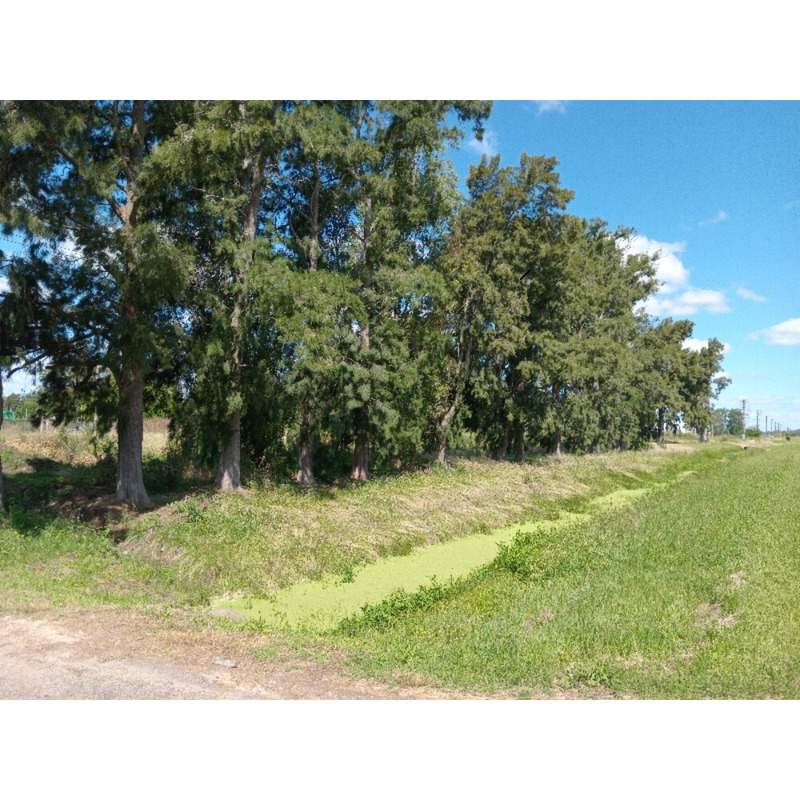 Oportunidad!!! Particular vende 4 terrenos sobre Ruta2, Zona ALuar!