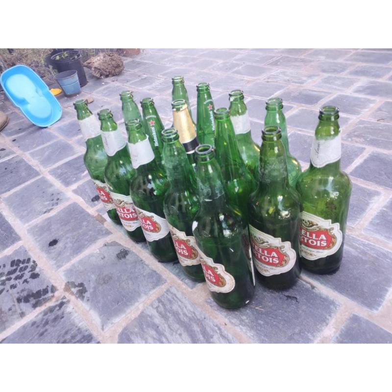 Envases de cerveza vacíos x20u / Estela, Heineken y otros - 3/3
