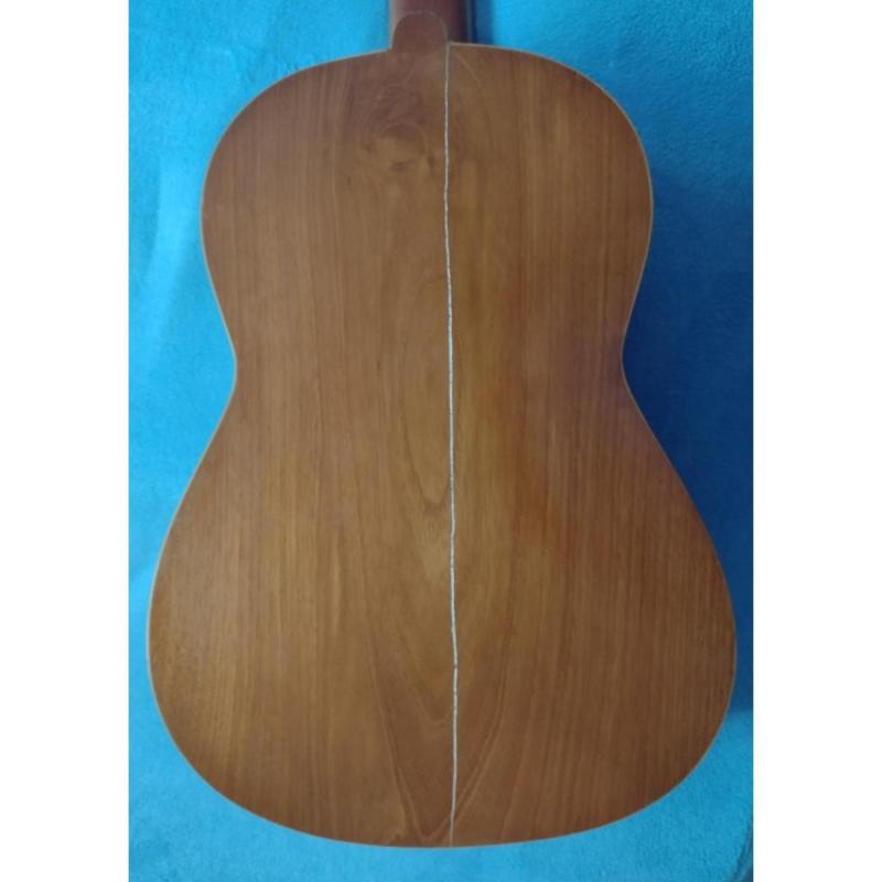 Guitarra Genaro Alliegro de 1973 - 7