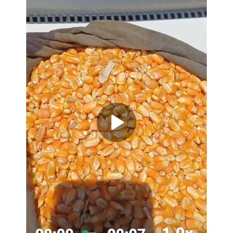 Venta De Maiz Y Soja
