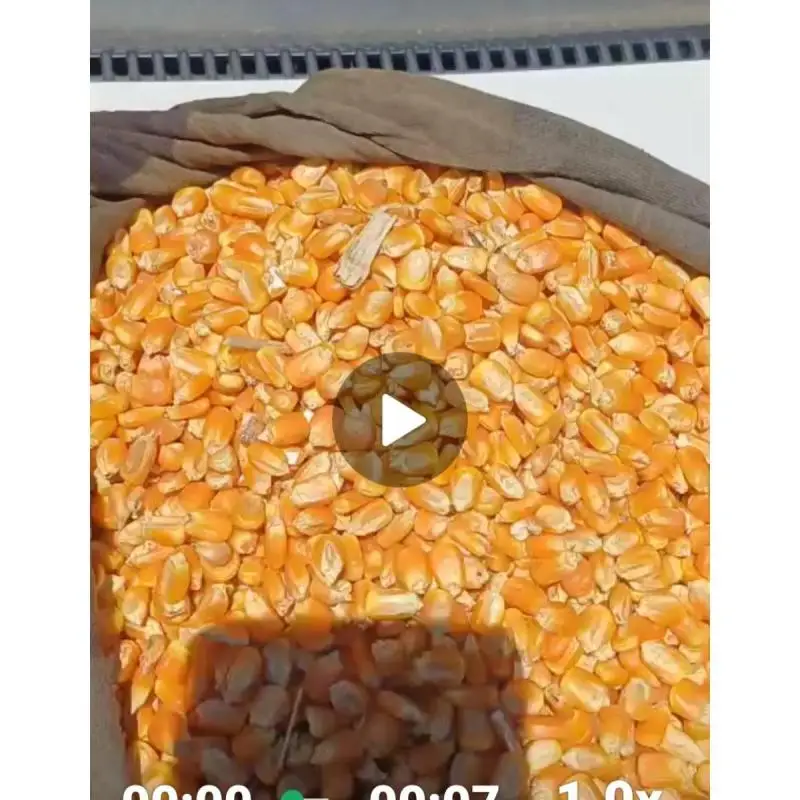 Venta De Maiz Y Soja 