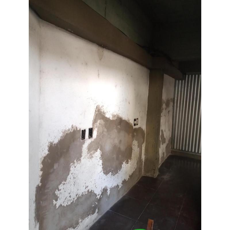 Pintor - 2