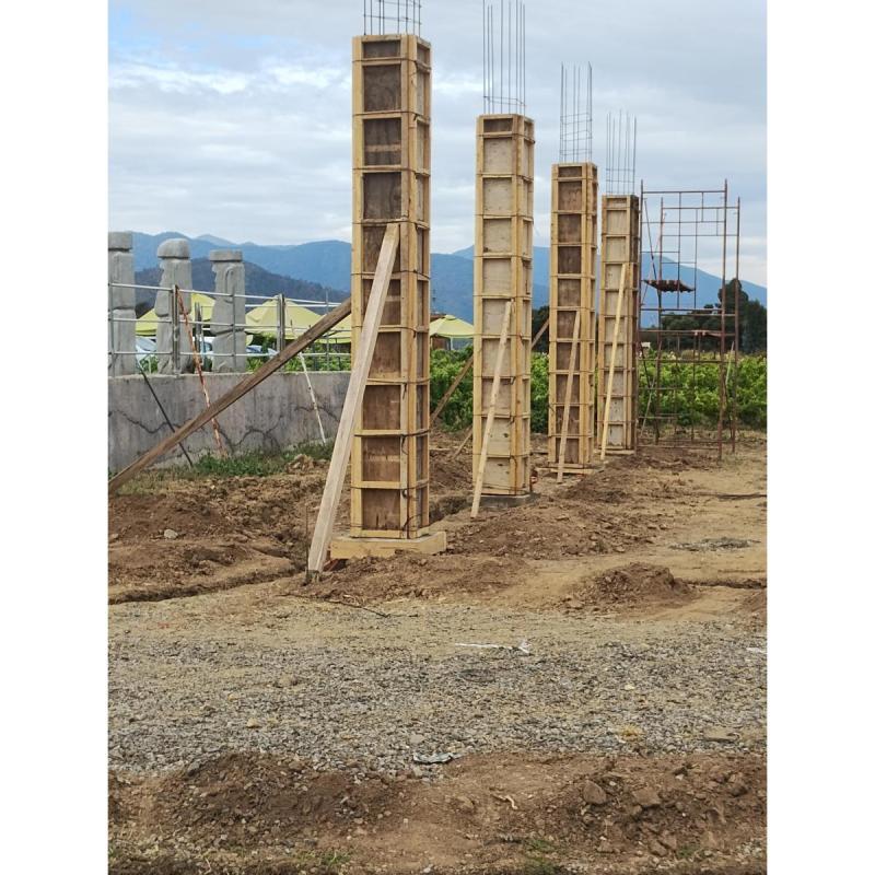 guzzanti construcciones - 5