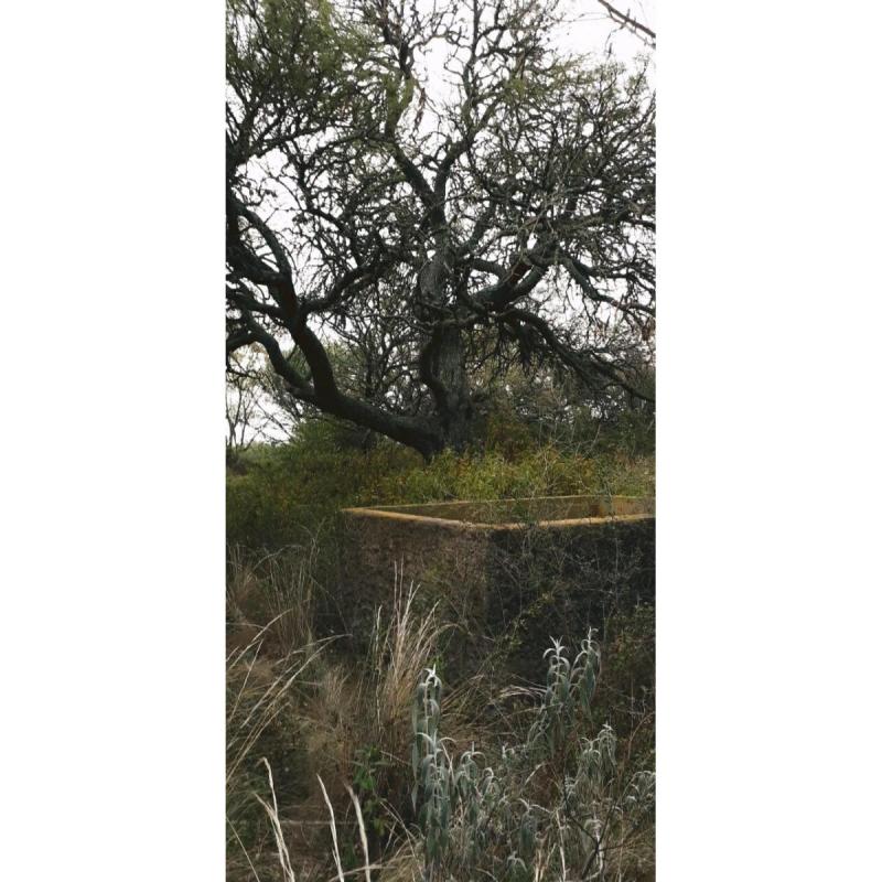 Alquilo Campo 30has en Ischilin leer descripción